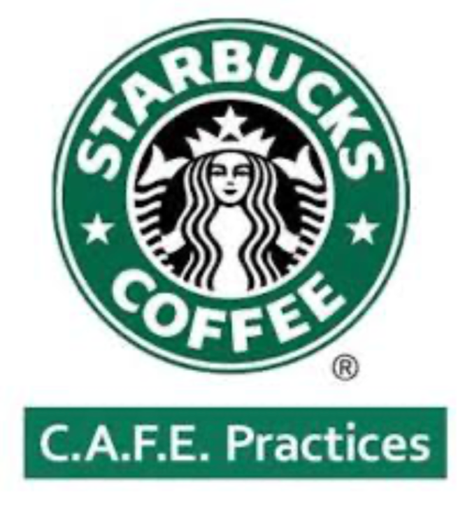 Captura de pantalla 2026-02-16 a la(s) 9.01.30 p.m.